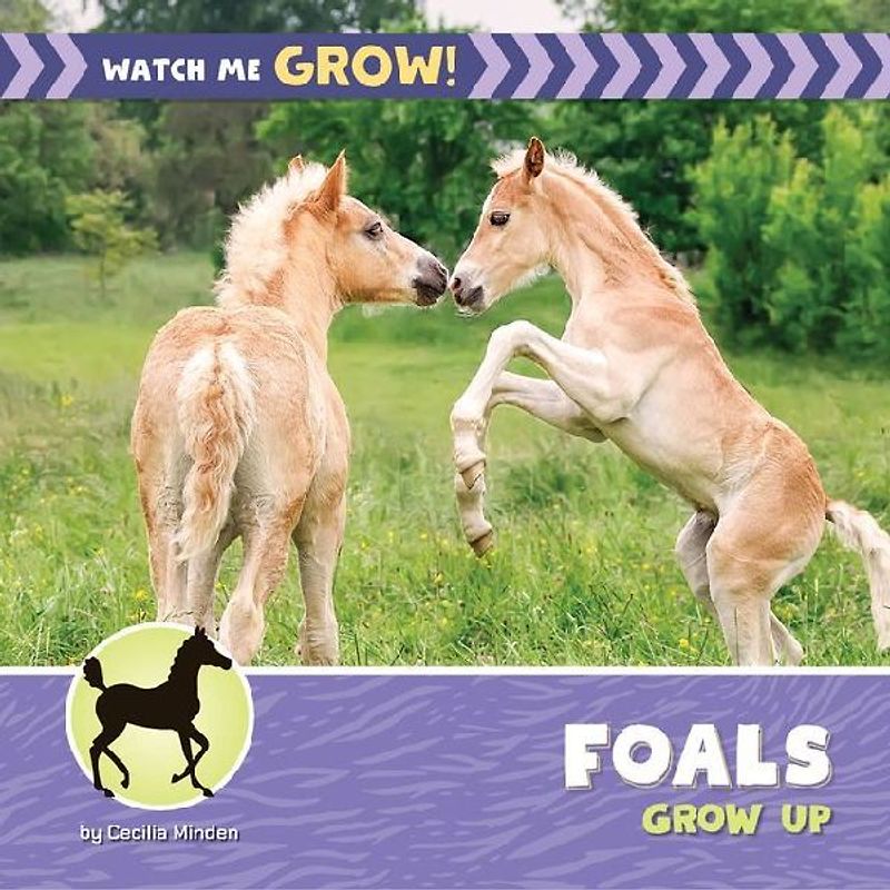 Foals Grow Up