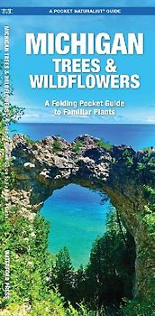 Michigan Trees & Wildflowers