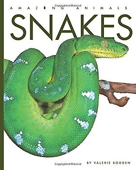 Snakes (Amazing Animals)