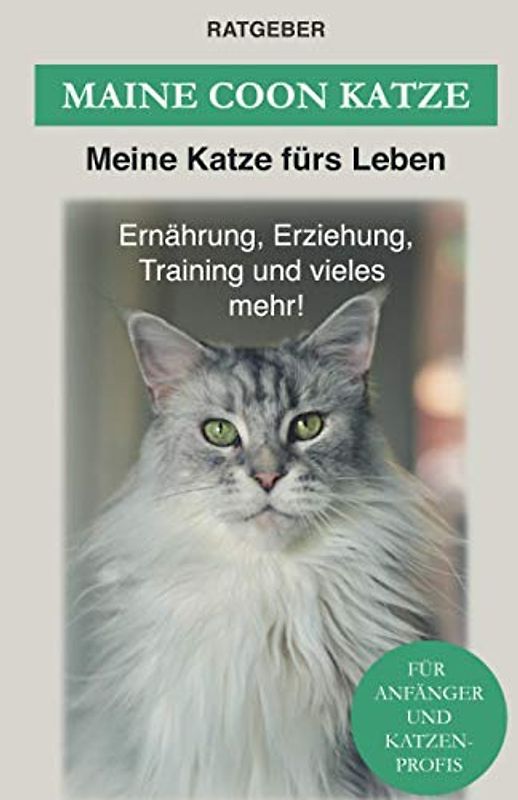 Maine Coon: Maine Coon Katze Ratgeber - Erziehung, Ernährung und Pflege (Katzenrassen)