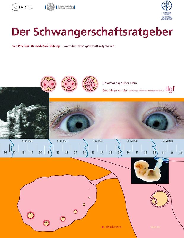 Der Schwangerschaftsratgeber