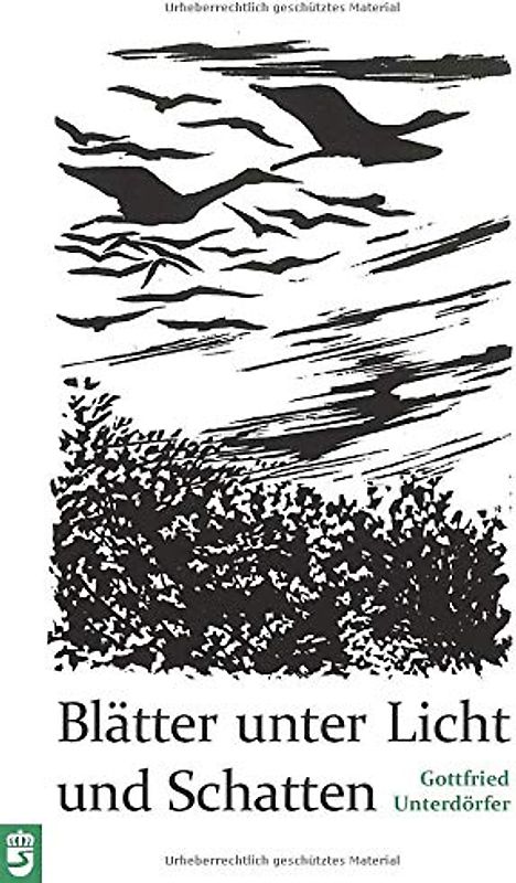 Blätter unter Licht und Schatten