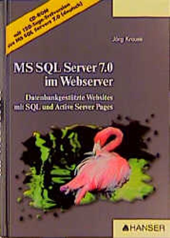 Microsoft SQL Server 7.0 im Webserver