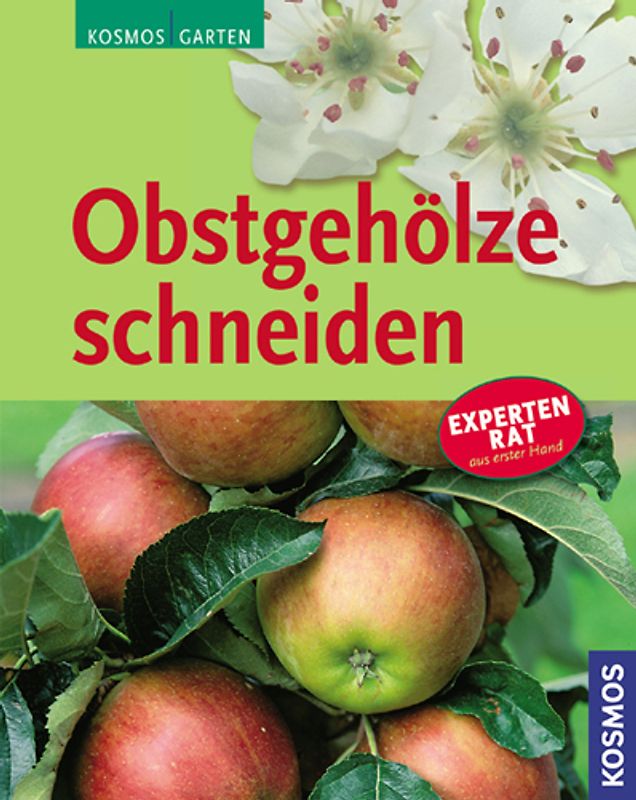 Obstgehölze schneiden