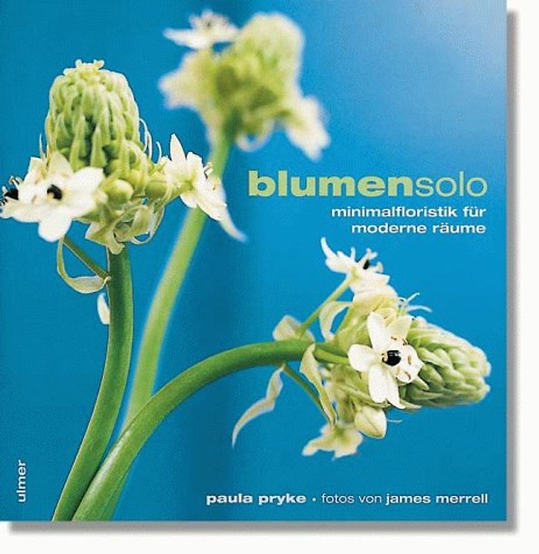 blumensolo