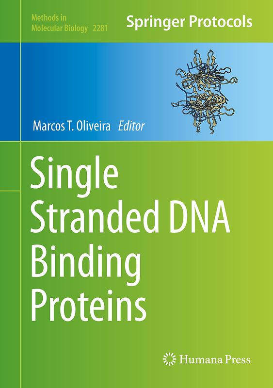 Single Stranded DNA Binding Proteins