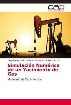 Simulación Numérica de un Yacimiento de Gas