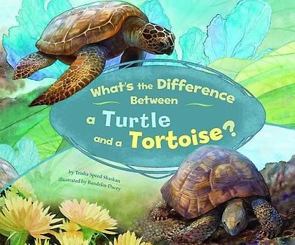 What's the Difference Between a Turtle and a Tortoise?