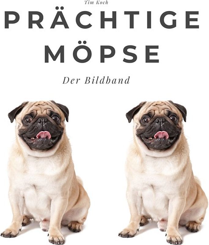 Prächtige Möpse
