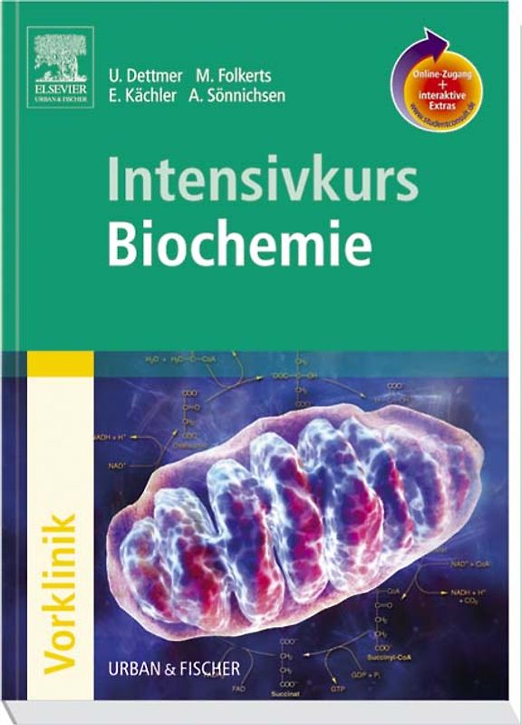Intensivkurs Biochemie mit StudentConsult-Zugang