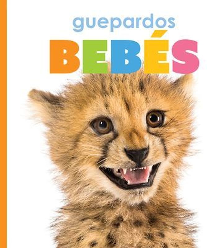 Guepardos Bebés