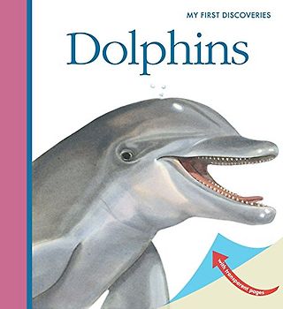 Dolphins (My First Discoveries)