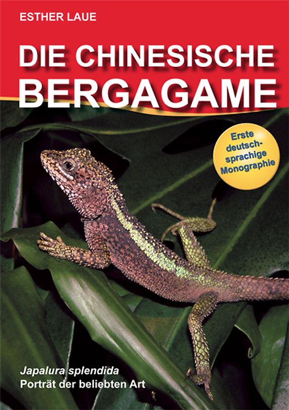 Die Chinesische Bergagame /Japalura Spendida