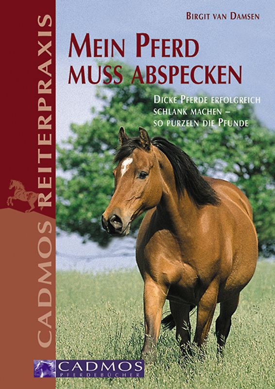 Mein Pferd muss abspecken