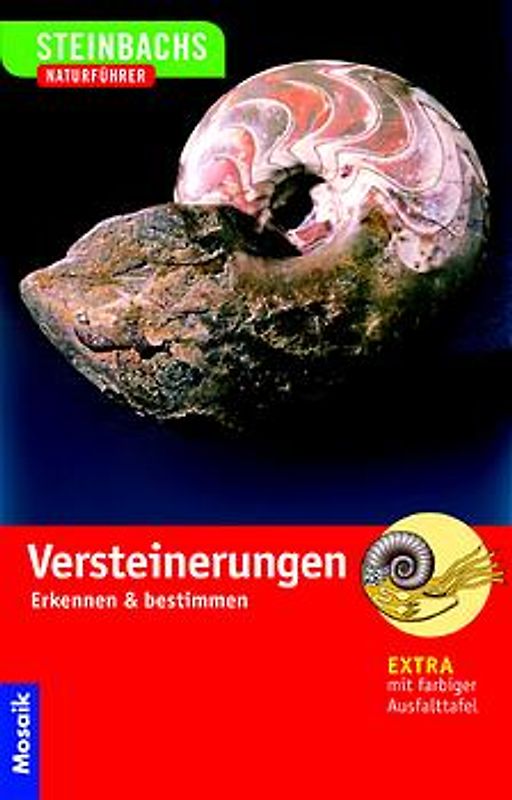 Versteinerungen