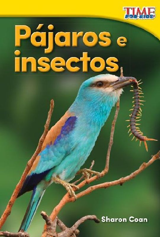 Pájaros E Insectos