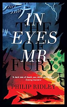 In the Eyes of Mr Fury
