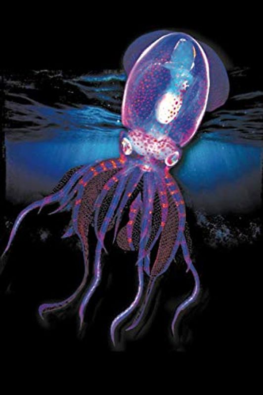 Diamond Squid Cephalopod: Blank Lined Notebook, Journal or Diary