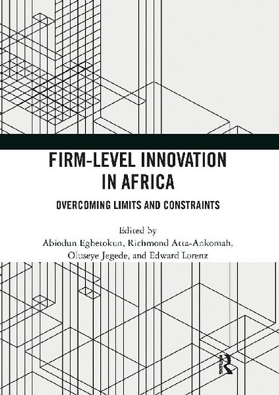 Firm-Level Innovation In Africa