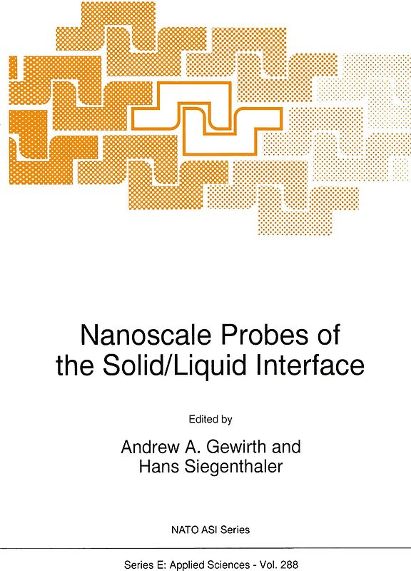 Nanoscale Probes of the Solid/Liquid Interface