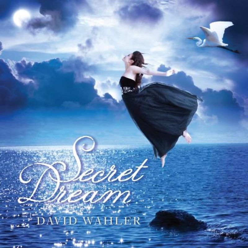 Wahler,David - Secret Dream