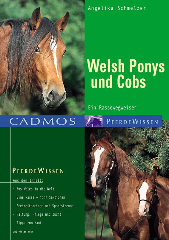 Welsh-Ponys und Cobs