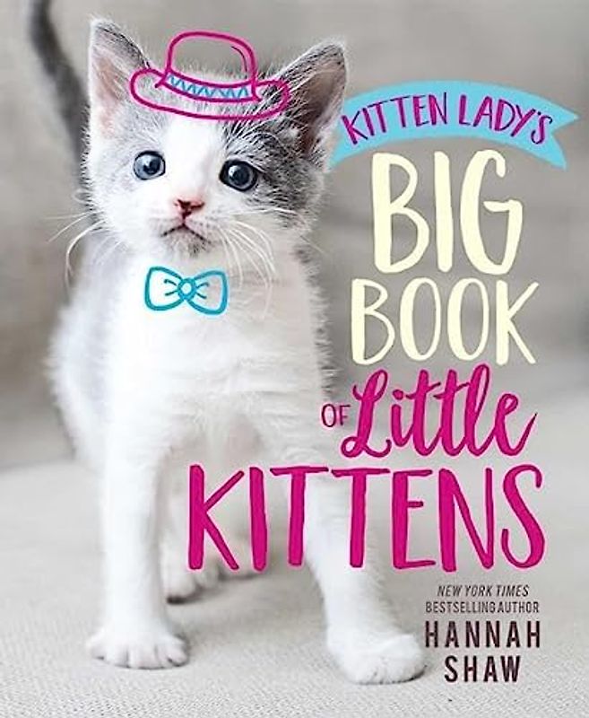 Kitten Lady's Big Book of Little Kittens