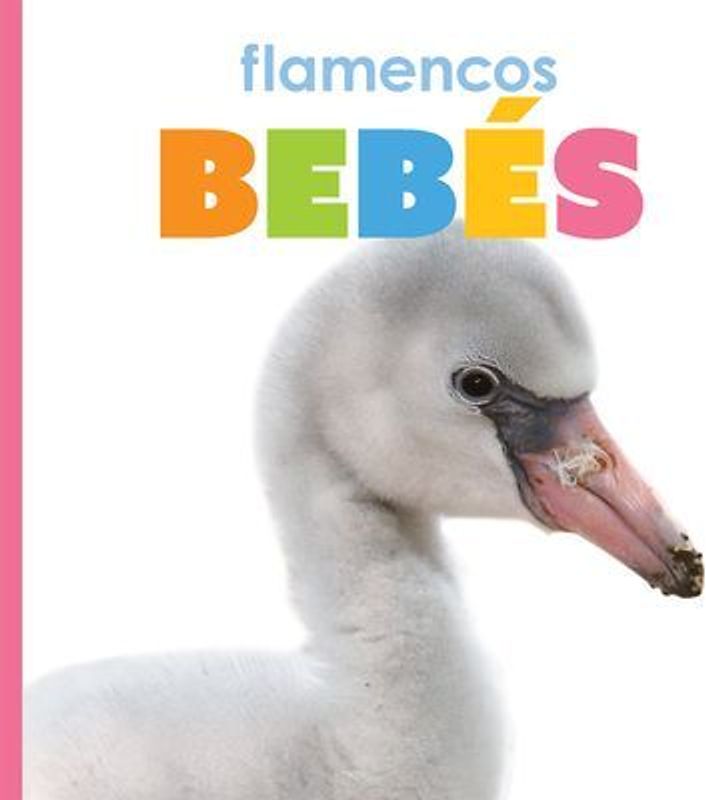 Flamencos Bebés