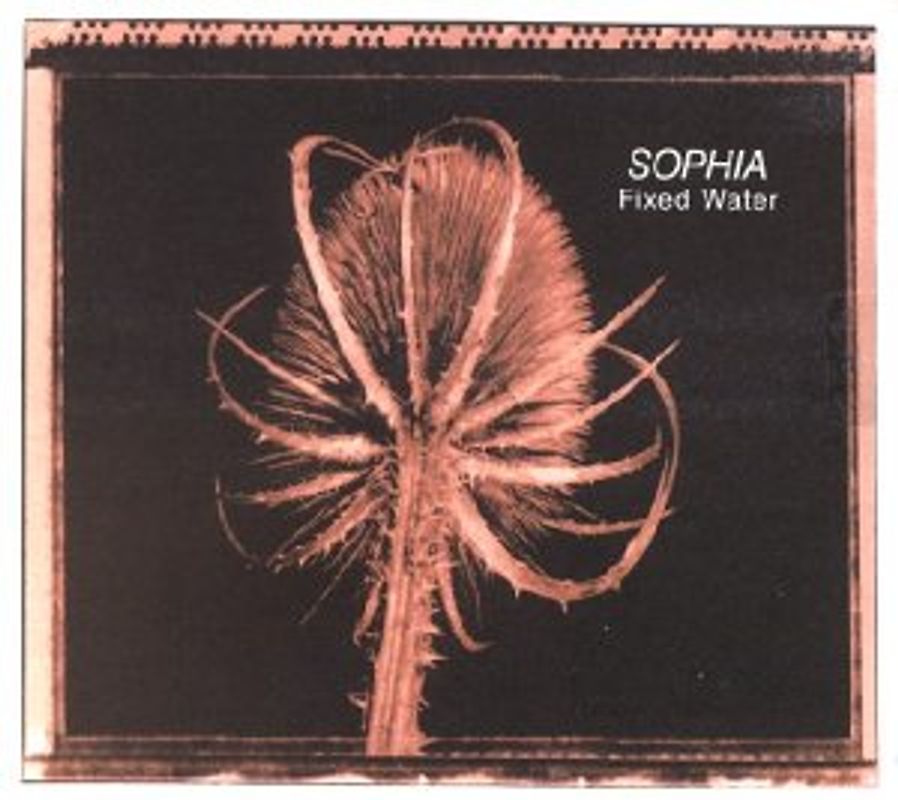 Sophia - Fixed Water
