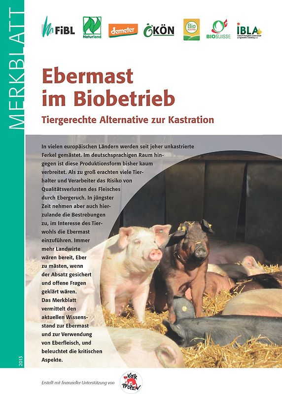 Ebermast im Biobetrieb