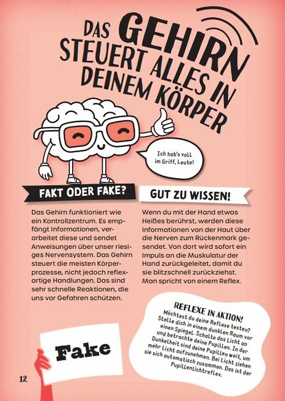 Woche für Woche durchs Gartenjahr