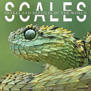 Scales 12 X 12 Wall Calendar