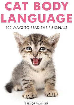 Cat Body Language