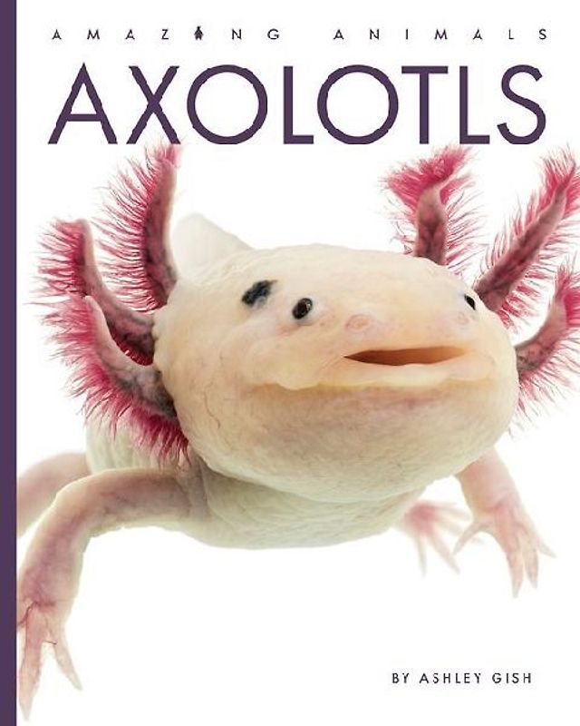 Axolotls