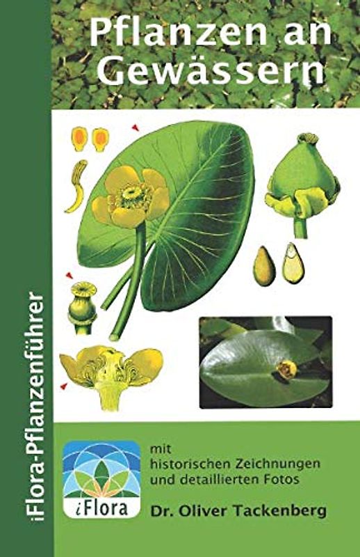 Pflanzen an Gewässern (iFlora-Pflanzenführer, Band 8)
