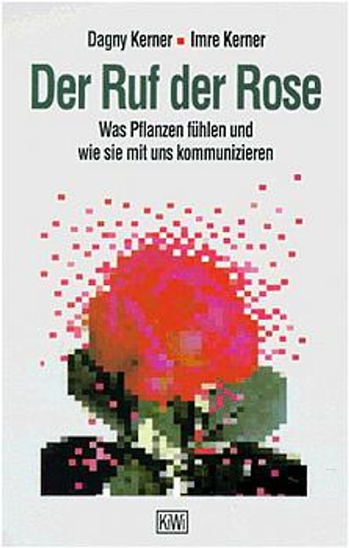 Der Ruf der Rose