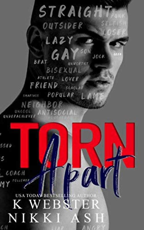 Torn Apart: a New Adult Why Choose Romance (Torn and Bound Duet, Band 1)