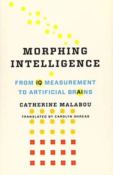 Morphing Intelligence: From IQ Measurement to Artificial Brains (Wellek Library Lectures in Critical Theory)