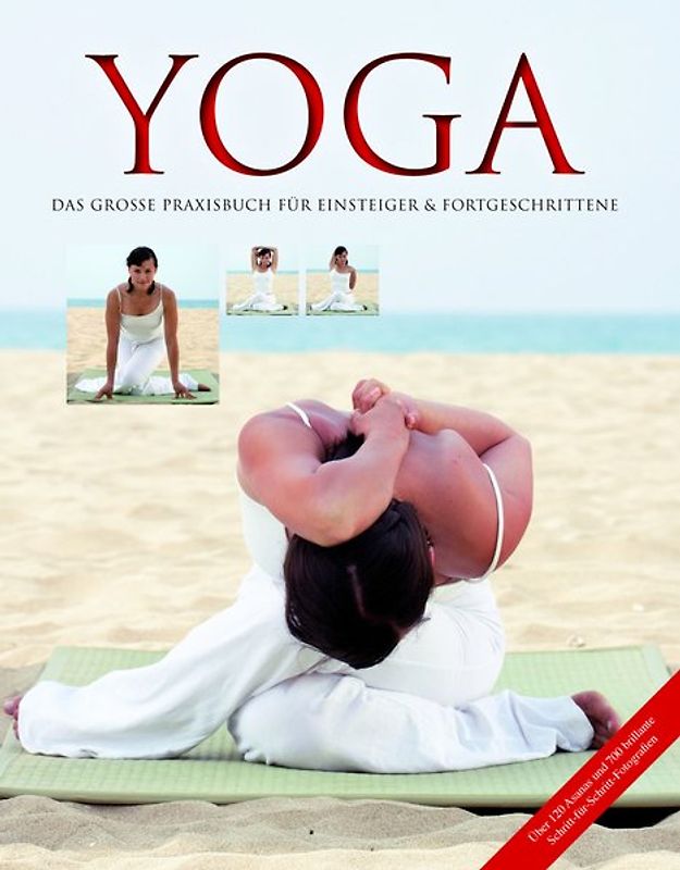 Yoga - Das große Praxisbuch für Einsteiger & Fortgeschrittene