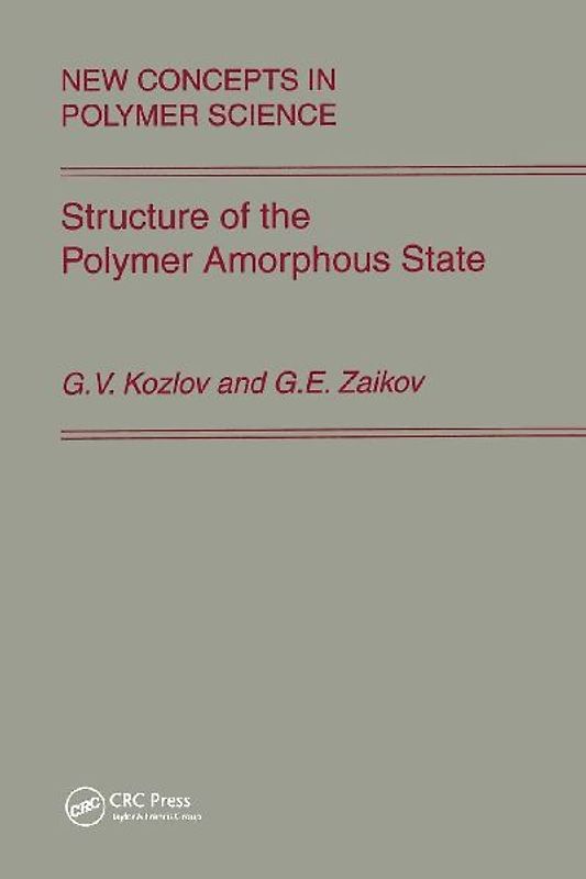 Structure of the Polymer Amorphous State