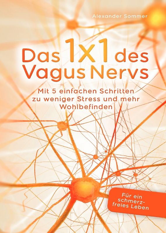 Das 1x1 des Vagus Nervs