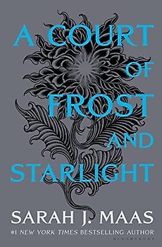 A Court of Frost and Starlight (A Court of Thorns and Roses, Band 10)