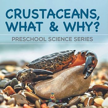 Crustaceans, What & Why?