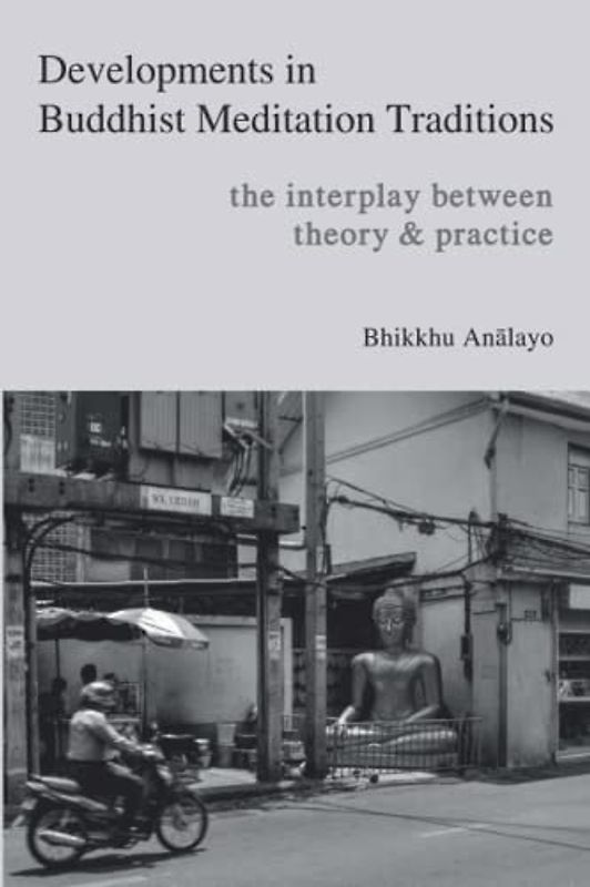 Developments in Buddhist Meditation Traditions: The Interplay between Theory and Practice