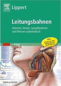 Lippert-Tafeln. Leitungsbahnen des Menschen