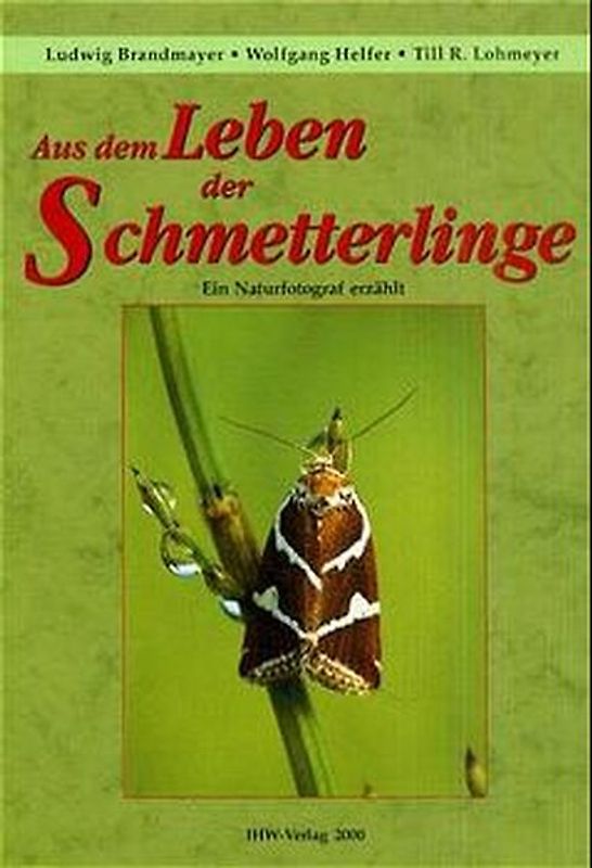 Aus dem Leben der Schmetterlinge. Ein Naturfotograf erzählt