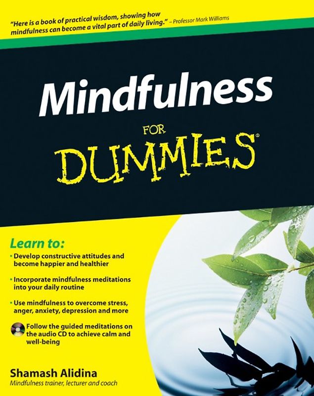 Mindfulness For Dummies