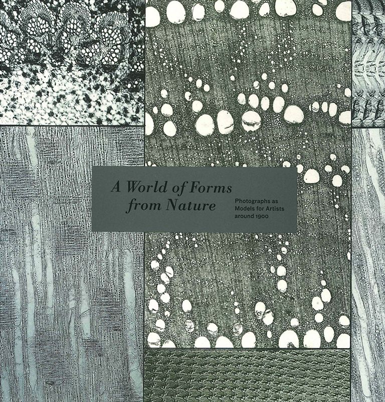 A World of Forms from Nature