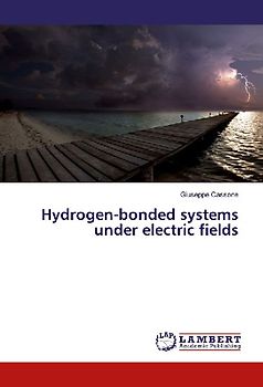 Hydrogen-bonded systems under electric fields
