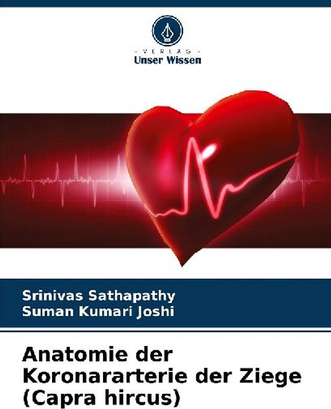 Anatomie der Koronararterie der Ziege (Capra hircus)